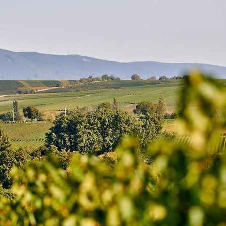 Weingasthaus Wisser Billigheim-Ingenheim Exterior foto