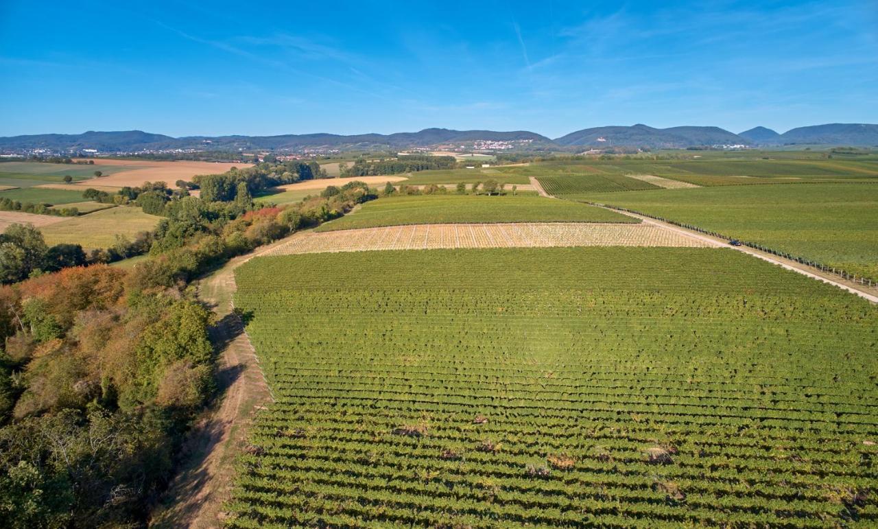 Weingasthaus Wisser Billigheim-Ingenheim Exterior foto